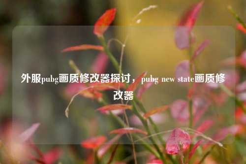 外服pubg画质修改器探讨，pubg new state画质修改器
