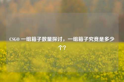 CSGO 一组箱子数量探讨，一组箱子究竟是多少个？