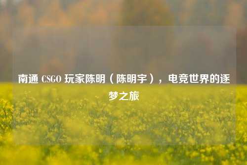 南通 CSGO 玩家陈明(陈明宇),电竞世界的逐梦之旅