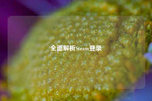 全面解析Steam登录