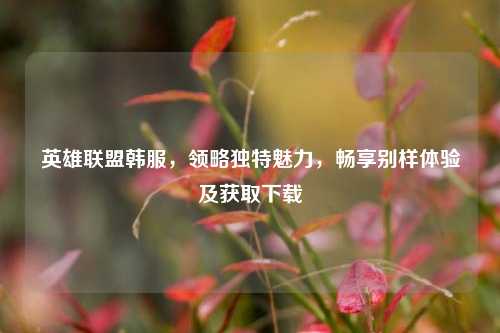 英雄联盟韩服，领略独特魅力，畅享别样体验及获取下载