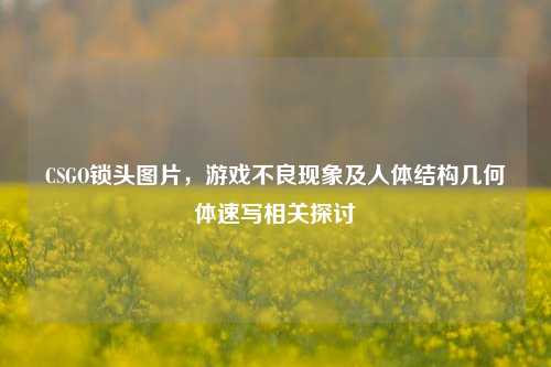 CSGO锁头图片，游戏不良现象及人体结构几何体速写相关探讨