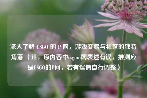 深入了解 CSGO 的 P 网，游戏交易与社区的独特角落 （注，原内容中csgom网表述有误，推测应是CSGO的P网，若有误请自行调整）