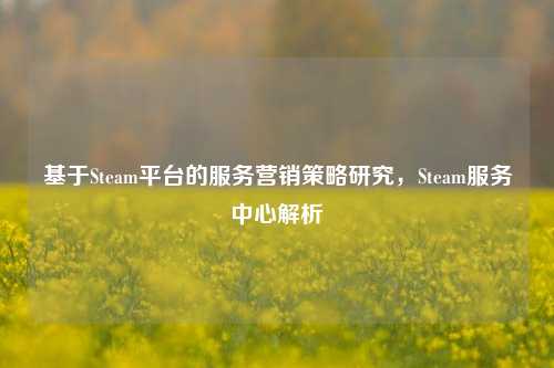 基于Steam平台的服务营销策略研究,Steam服务中心解析