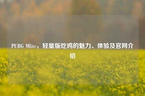 PUBG Mlite，轻量版吃鸡的魅力、体验及官网介绍