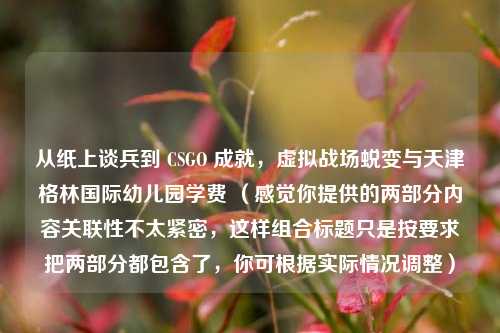 从纸上谈兵到 CSGO 成就，虚拟战场蜕变与天津格林国际幼儿园学费 （感觉你提供的两部分内容关联性不太紧密，这样组合标题只是按要求把两部分都包含了，你可根据实际情况调整）
