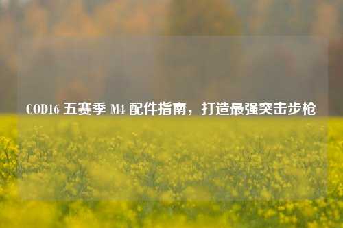 COD16 五赛季 M4 配件指南,打造最强突击步枪