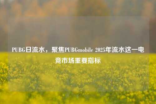 PUBG日流水，聚焦PUBGmobile 2025年流水这一电竞市场重要指标