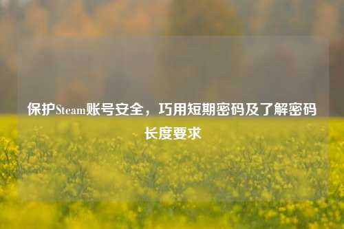 保护Steam账号安全，巧用短期密码及了解密码长度要求