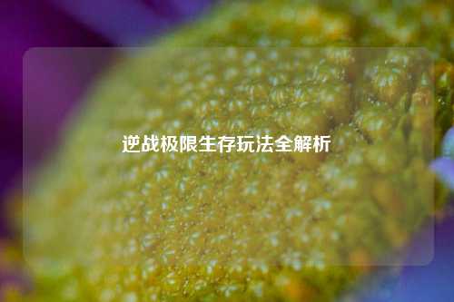 逆战极限生存玩法全解析