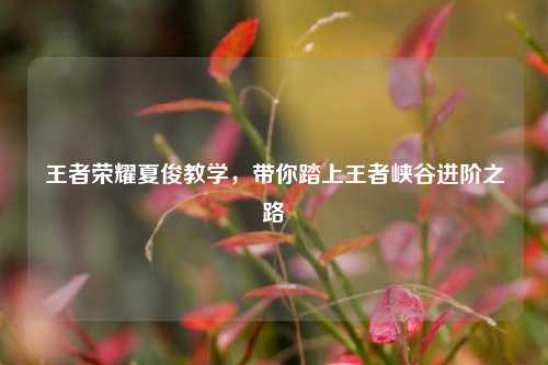 王者荣耀夏俊教学，带你踏上王者峡谷进阶之路