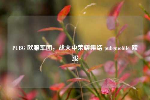 PUBG 欧服军团，战火中荣耀集结 pubgmobile 欧服
