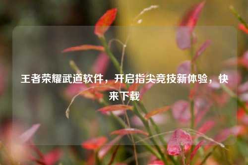 王者荣耀武道软件，开启指尖竞技新体验，快来下载
