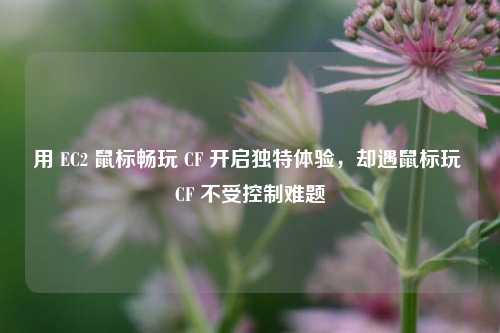 用 EC2 鼠标畅玩 CF 开启独特体验，却遇鼠标玩 CF 不受控制难题
