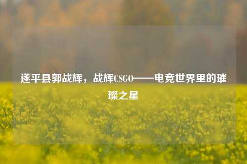 遂平县郭战辉，战辉CSGO——电竞世界里的璀璨之星
