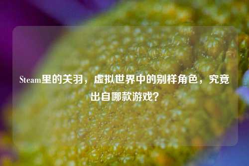 Steam里的关羽,虚拟世界中的别样角色,究竟出自哪款游戏?