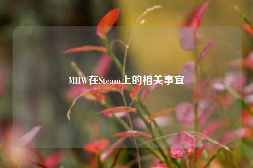 MHW在Steam上的相关事宜