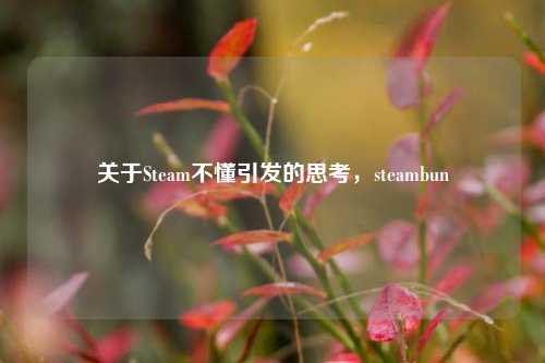 关于Steam不懂引发的思考，steambun