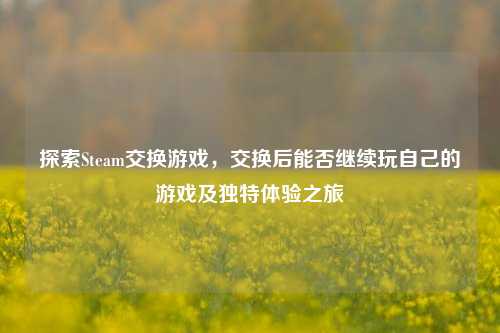 探索Steam交换游戏,交换后能否继续玩自己的游戏及独特体验之旅