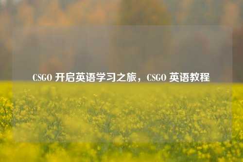CSGO 开启英语学习之旅，CSGO 英语教程