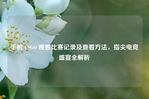 手机 CSGO 观看比赛记录及查看方法，指尖电竞盛宴全解析