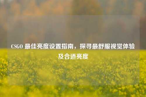 CSGO 最佳亮度设置指南，探寻最舒服视觉体验及合适亮度