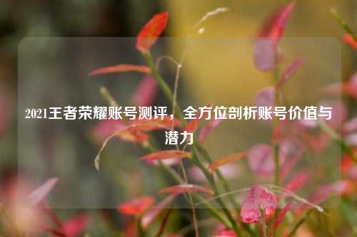 2021王者荣耀账号测评,全方位剖析账号价值与潜力