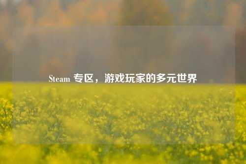 Steam 专区，游戏玩家的多元世界