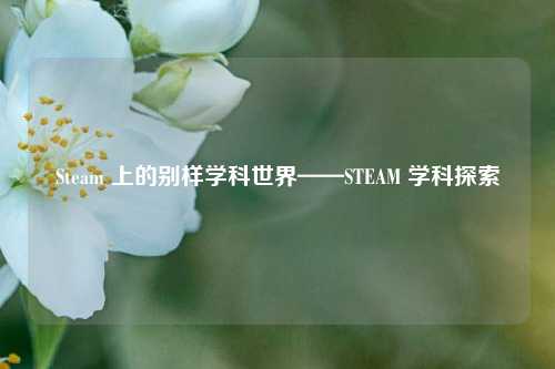 Steam 上的别样学科世界——STEAM 学科探索