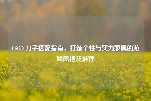 CSGO 刀子搭配指南，打造个性与实力兼具的游戏风格及推荐