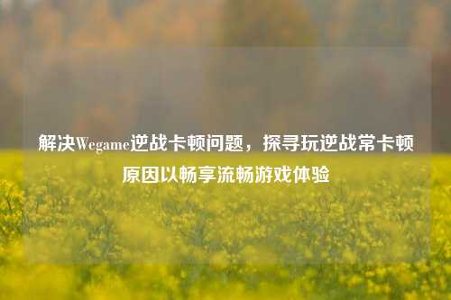 解决Wegame逆战卡顿问题，探寻玩逆战常卡顿原因以畅享流畅游戏体验