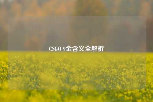 CSGO 9金含义全解析
