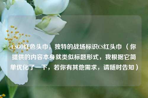 CSGO红色头巾,独特的战场标识CS红头巾 (你提供的内容本身就类似标题形式,我根据它简单优化了一下,若你有其他需求,请随时告知)