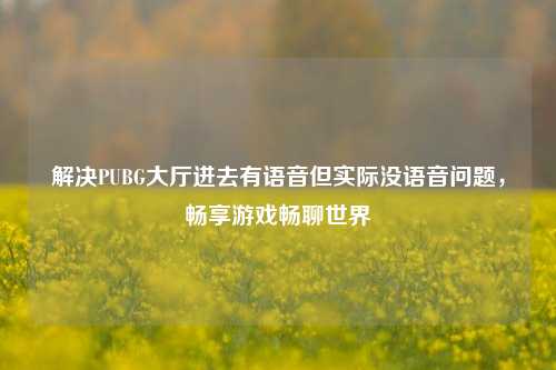 解决PUBG大厅进去有语音但实际没语音问题,畅享游戏畅聊世界