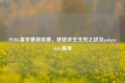PUBG夏季赛保级赛，绝地求生生死之战及pubgmobile赛季