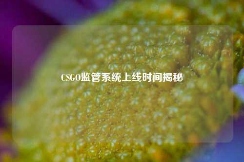 CSGO监管系统上线时间揭秘