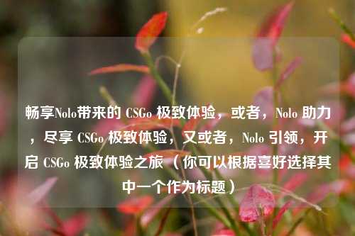 畅享Nolo带来的 CSGo 极致体验，或者，Nolo 助力，尽享 CSGo 极致体验，又或者，Nolo 引领，开启 CSGo 极致体验之旅 （你可以根据喜好选择其中一个作为标题）