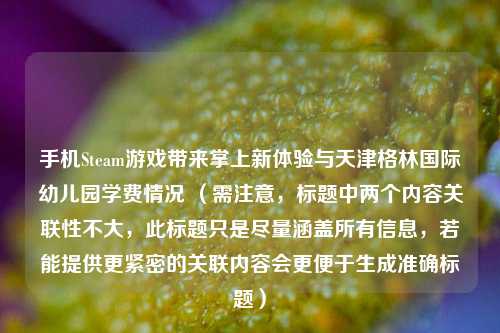 手机Steam游戏带来掌上新体验与天津格林国际幼儿园学费情况 (需注意,标题中两个内容关联性不大,此标题只是尽量涵盖所有信息,若能提供更紧密的关联内容会更便于生成准确标题)