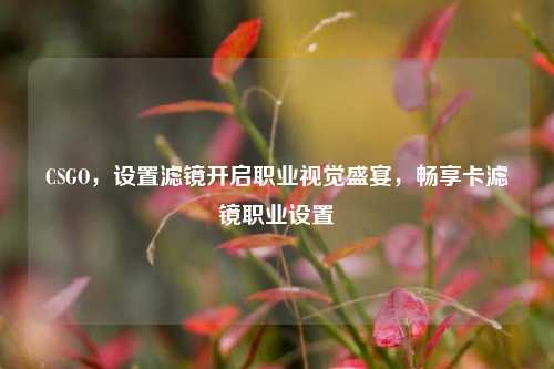 CSGO，设置滤镜开启职业视觉盛宴，畅享卡滤镜职业设置