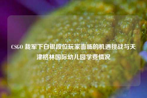 CSGO 裁军下白银段位玩家面临的机遇挑战与天津格林国际幼儿园学费情况