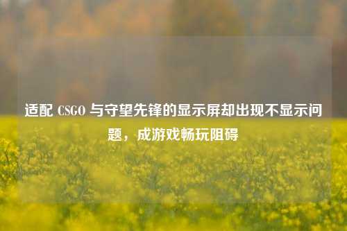 适配 CSGO 与守望先锋的显示屏却出现不显示问题，成游戏畅玩阻碍