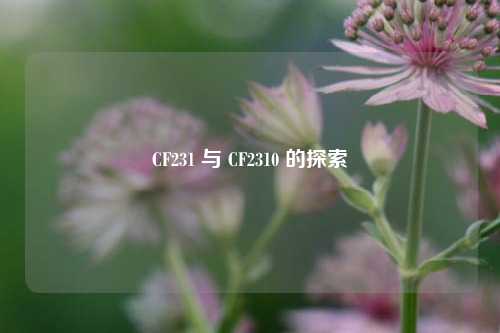 CF231 与 CF2310 的探索