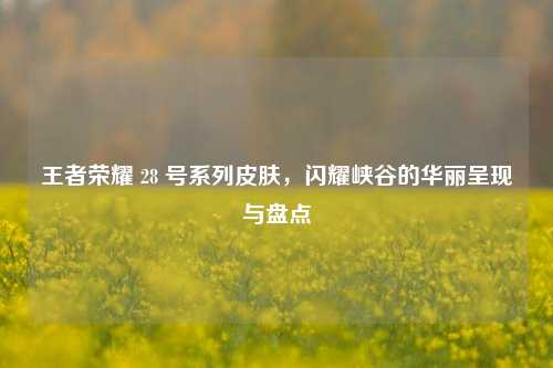 王者荣耀 28 号系列皮肤，闪耀峡谷的华丽呈现与盘点