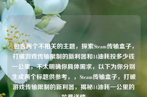 包含两个不相关的主题，探索Steam传输盒子，打破游戏传输限制的新利器和14油耗投多少钱一公里，不太明确你具体需求，以下为你分别生成两个标题供参考，，Steam传输盒子，打破游戏传输限制的新利器，揭秘14油耗一公里的花费详情