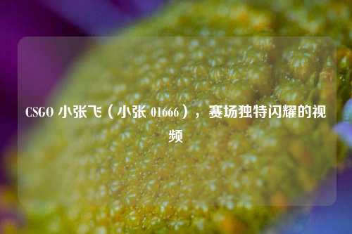 CSGO 小张飞（小张 01666），赛场独特闪耀的视频
