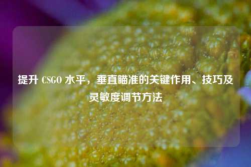 提升 CSGO 水平，垂直瞄准的关键作用、技巧及灵敏度调节方法