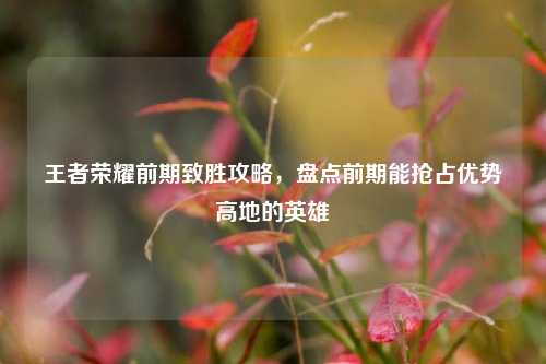 王者荣耀前期致胜攻略,盘点前期能抢占优势高地的英雄