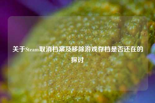关于Steam取消档案及移除游戏存档是否还在的探讨