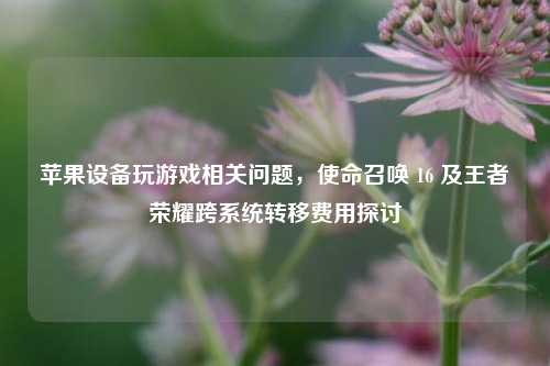 苹果设备玩游戏相关问题,使命召唤 16 及王者荣耀跨系统转移费用探讨