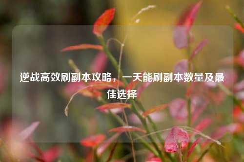逆战高效刷副本攻略，一天能刷副本数量及最佳选择